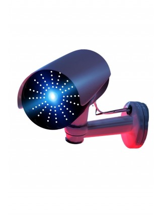 ArinOne Güvenlik Kamerası 