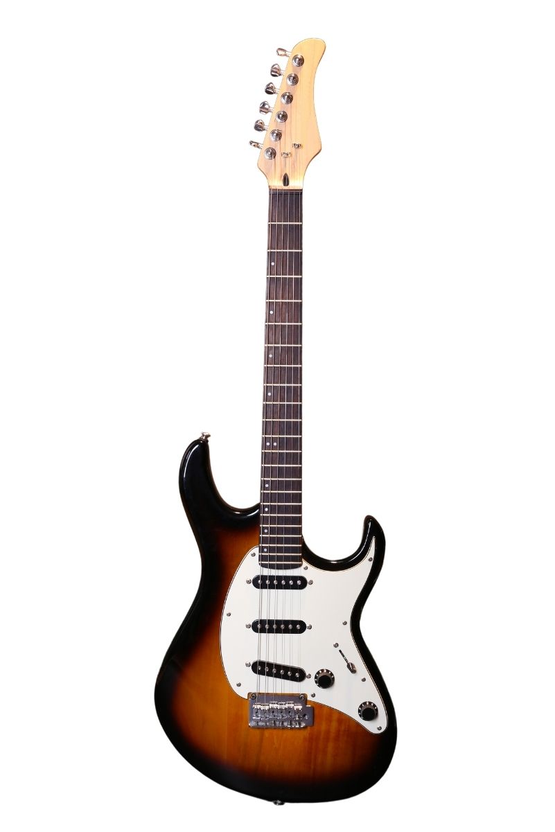 ArinOne Baslı Elektro Gitar